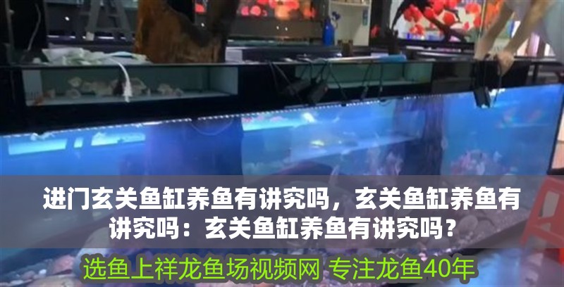 進門玄關魚缸養魚有講究嗎，玄關魚缸養魚有講究嗎：玄關魚缸養魚有講究嗎？ 進門玄關魚缸養魚有講究嗎，玄關魚缸養魚有講究嗎：玄關魚缸養魚有講究嗎？ 魚缸百科