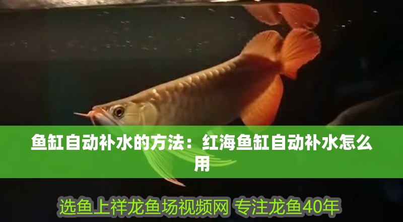魚缸自動補水的方法：紅海魚缸自動補水怎么用