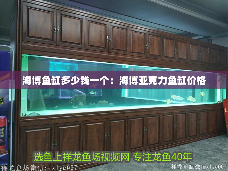 海博魚缸多少錢一個：海博亞克力魚缸價格 海博魚缸多少錢一個：海博亞克力魚缸價格 魚缸百科
