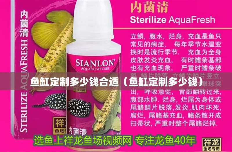 鸚鵡魚和銀龍魚混養怎樣喂食 魚缸定制多少錢合適(魚缸定制多少錢) 魚缸百科 魚缸定制多少錢合適(魚缸定制多少錢) 魚缸定制多少錢合適(魚缸定制多少錢) 魚缸百科