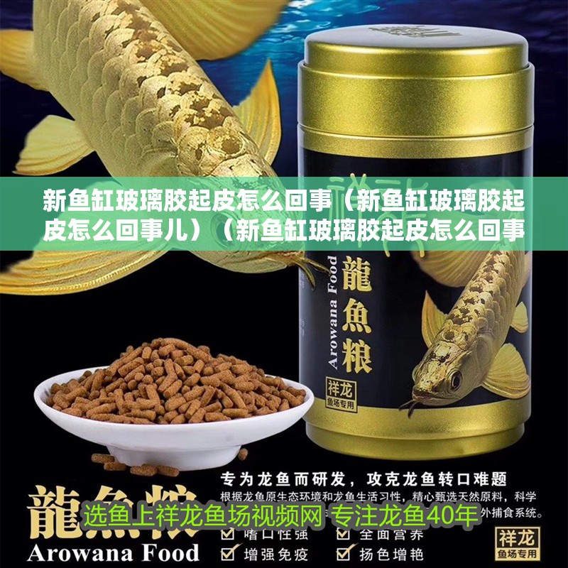 新魚缸玻璃膠起皮怎么回事（新魚缸玻璃膠起皮怎么回事兒）（新魚缸玻璃膠起皮怎么回事，）