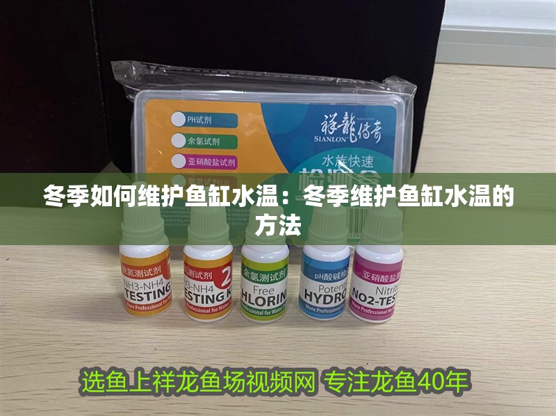 冬季如何維護魚缸水溫：冬季維護魚缸水溫的方法
