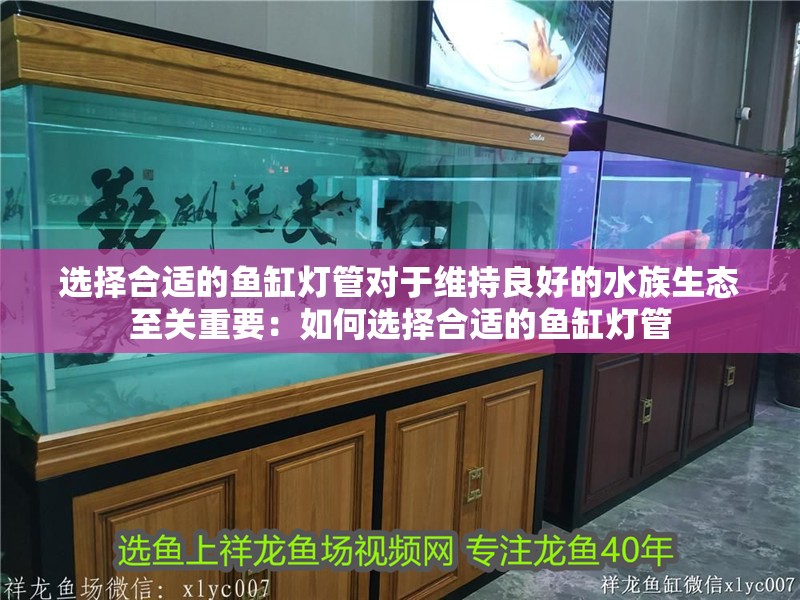 選擇合適的魚缸燈管對于維持良好的水族生態至關重要：如何選擇合適的魚缸燈管 選擇合適的魚缸燈管對于維持良好的水族生態至關重要：如何選擇合適的魚缸燈管 魚缸百科