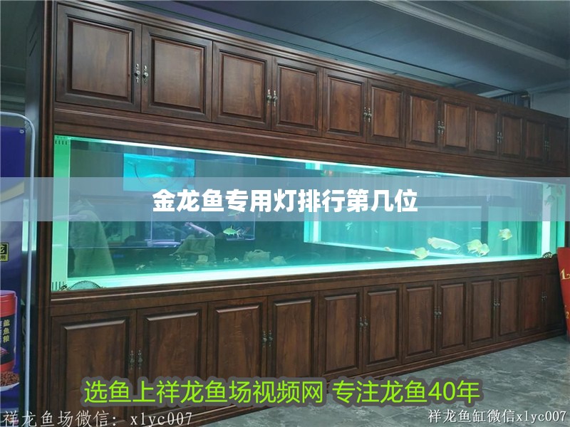 金龍魚專用燈排行第幾位