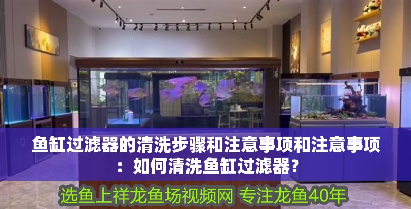 魚缸過濾器的清洗步驟和注意事項和注意事項：如何清洗魚缸過濾器？