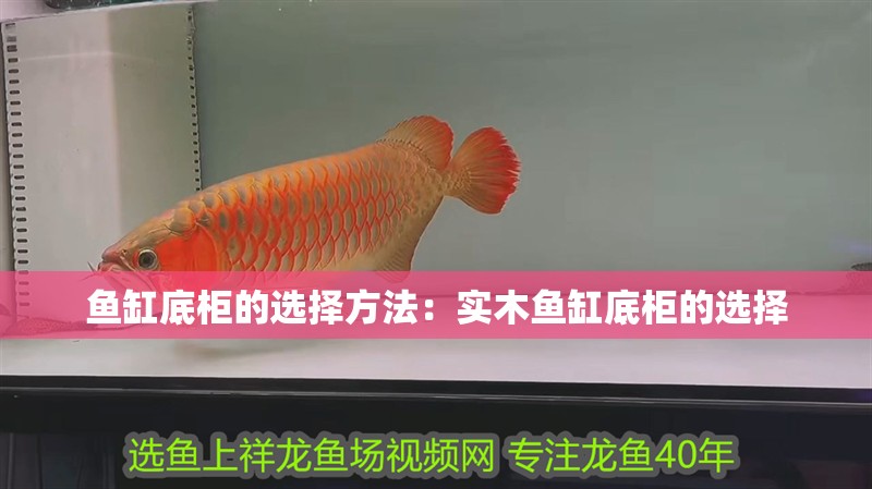 魚缸底柜的選擇方法：實木魚缸底柜的選擇 魚缸底柜的選擇方法：實木魚缸底柜的選擇 魚缸百科