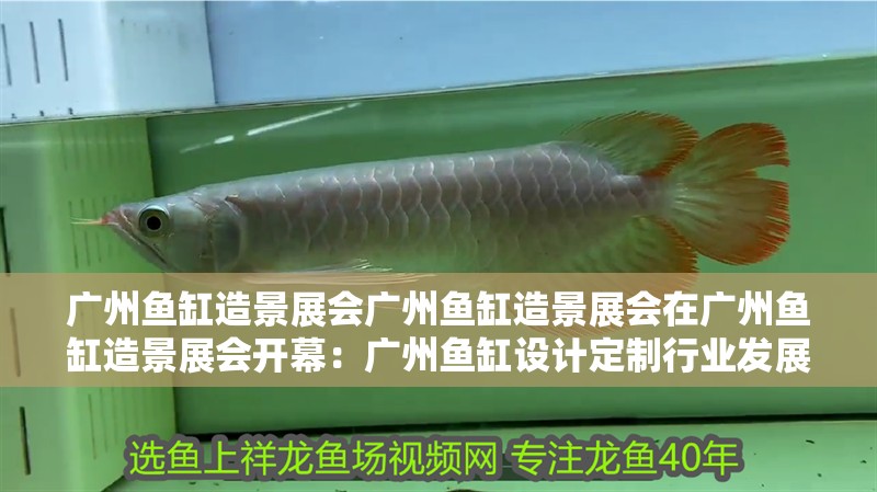 廣州魚缸造景展會廣州魚缸造景展會在廣州魚缸造景展會開幕：廣州魚缸設計定制行業發展趨勢