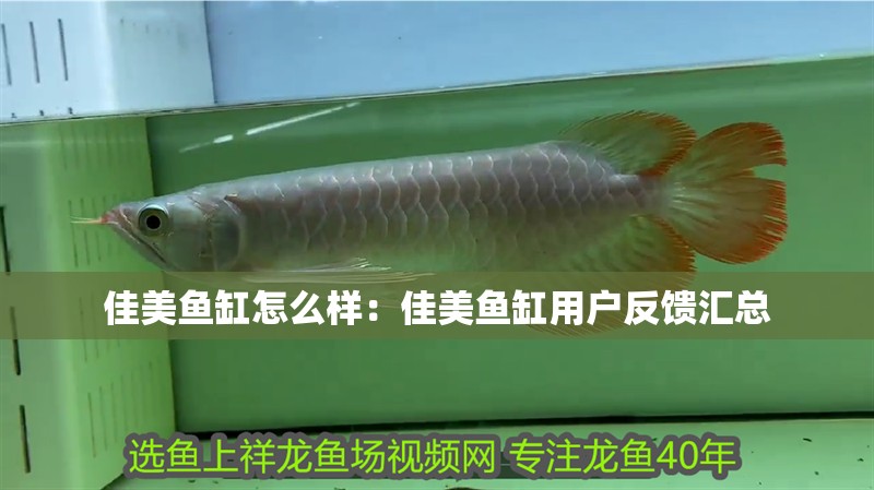 佳美魚缸怎么樣：佳美魚缸用戶反饋匯總