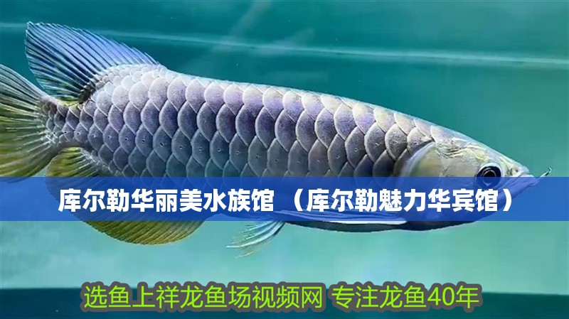 庫爾勒華麗美水族館 （庫爾勒魅力華賓館）