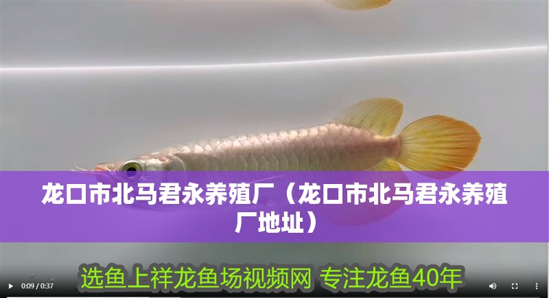 龍口市北馬君永養殖廠（龍口市北馬君永養殖廠地址）