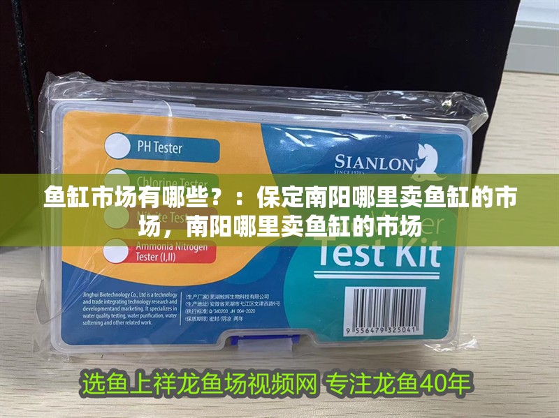 魚缸市場有哪些？：保定南陽哪里賣魚缸的市場，南陽哪里賣魚缸的市場