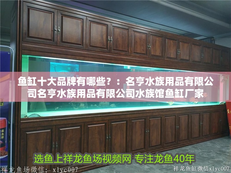 魚(yú)缸十大品牌有哪些？：名亨水族用品有限公司名亨水族用品有限公司水族館魚(yú)缸廠家
