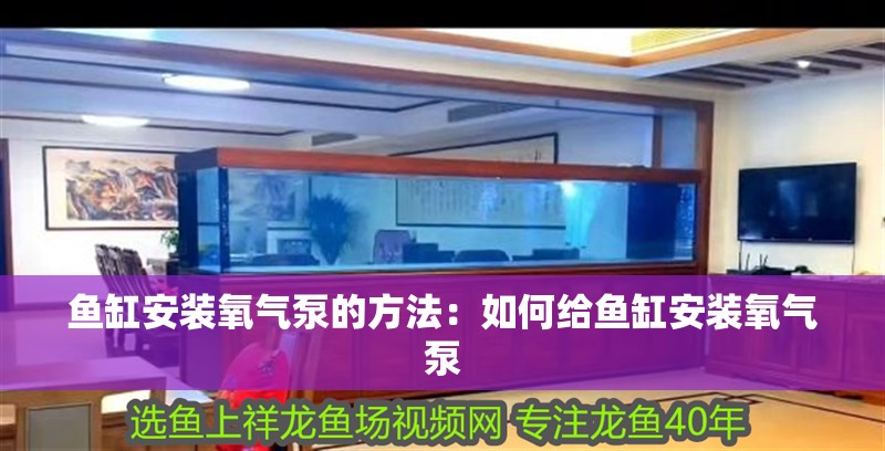 魚缸安裝氧氣泵的方法：如何給魚缸安裝氧氣泵