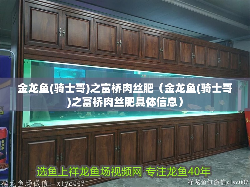 金龍魚(騎士哥)之富橋肉絲肥（金龍魚(騎士哥)之富橋肉絲肥具體信息）