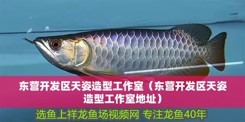 東營(yíng)開(kāi)發(fā)區(qū)天姿造型工作室（東營(yíng)開(kāi)發(fā)區(qū)天姿造型工作室地址）