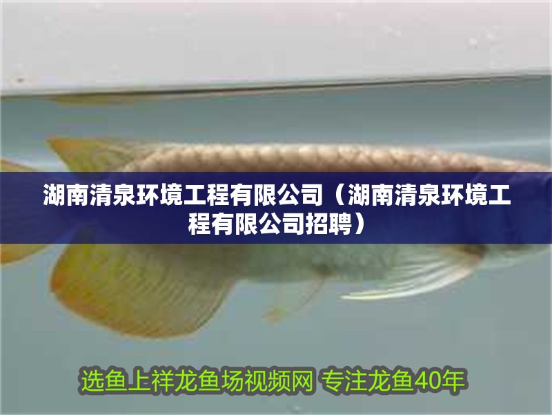 鸚鵡魚和銀龍魚混養怎樣喂食 湖南清泉環境工程有限公司(湖南清泉環境工程有限公司招聘) 全國水族館企業名錄 湖南清泉環境工程有限公司(湖南清泉環境工程有限公司招聘) 湖南清泉環境工程有限公司(湖南清泉環境工程有限公司招聘) 全國水族館企業名錄