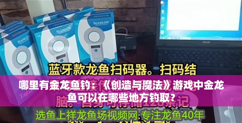 哪里有金龍魚釣：《創(chuàng)造與魔法》游戲中金龍魚可以在哪些地方釣取？