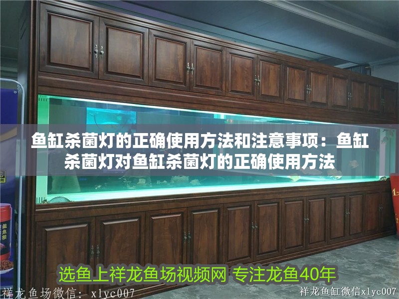 龍魚(yú)干蝦有營(yíng)養(yǎng)嗎 魚(yú)缸殺菌燈的正確使用方法和注意事項(xiàng):魚(yú)缸殺菌燈對(duì)魚(yú)缸殺菌燈的正確使用方法 魚(yú)缸百科 魚(yú)缸殺菌燈的正確使用方法和注意事項(xiàng):魚(yú)缸殺菌燈對(duì)魚(yú)缸殺菌燈的正確使用方法 魚(yú)缸殺菌燈的正確使用方法和注意事項(xiàng):魚(yú)缸殺菌燈對(duì)魚(yú)缸殺菌燈的正確使用方法 魚(yú)缸百科