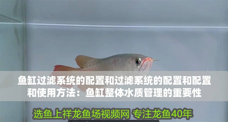 魚缸過濾系統的配置和過濾系統的配置和配置和使用方法：魚缸整體水質管理的重要性