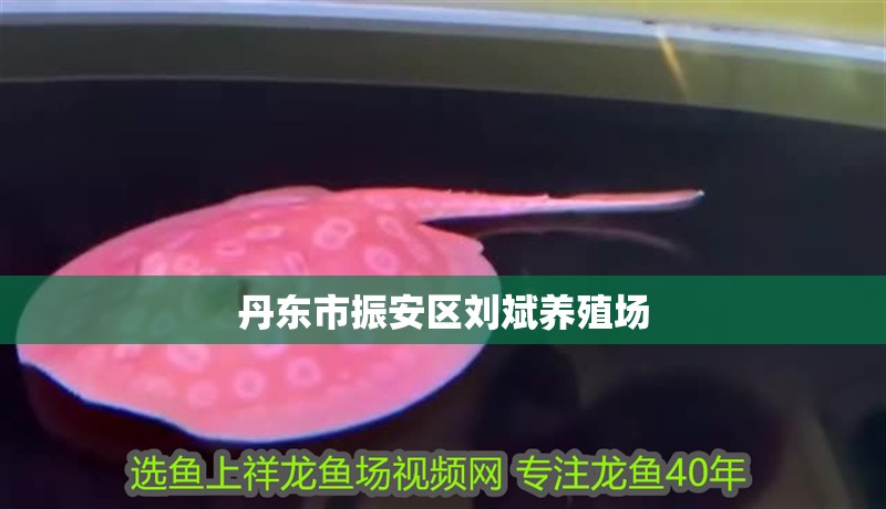 丹東市振安區劉斌養殖場