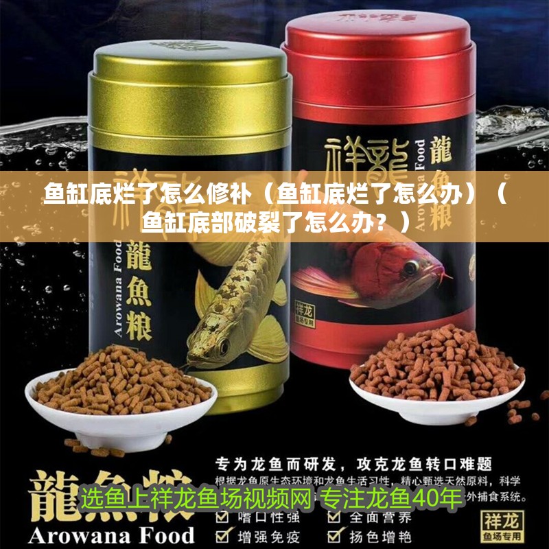 魚缸底爛了怎么修補（魚缸底爛了怎么辦）（魚缸底部破裂了怎么辦？）