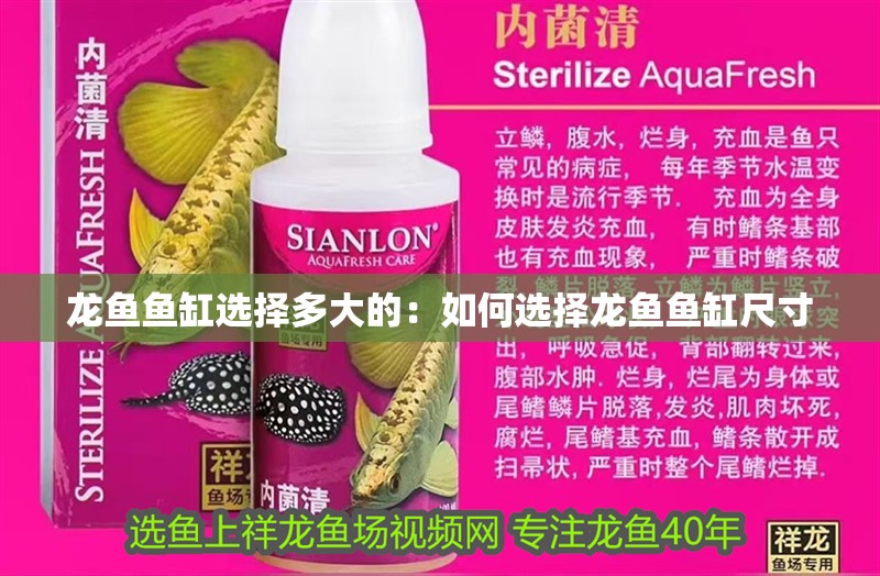 龍魚魚缸選擇多大的：如何選擇龍魚魚缸尺寸