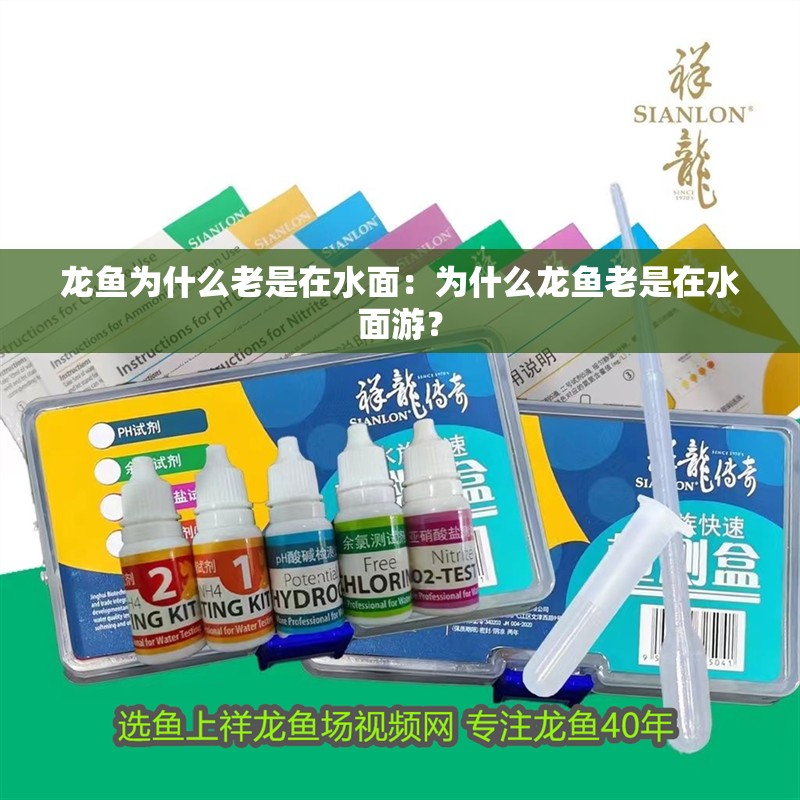 龍魚(yú)為什么老是在水面：為什么龍魚(yú)老是在水面游？