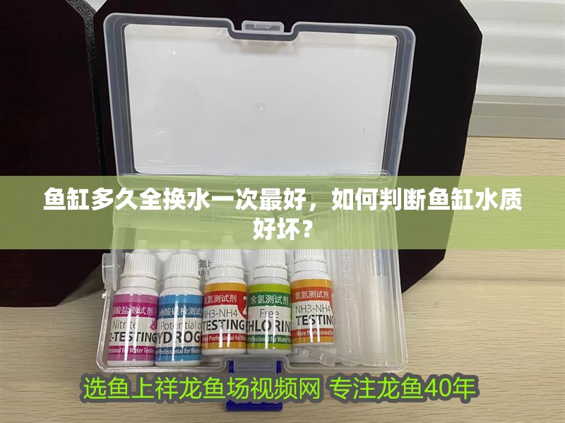 魚缸多久全換水一次最好，如何判斷魚缸水質(zhì)好壞？