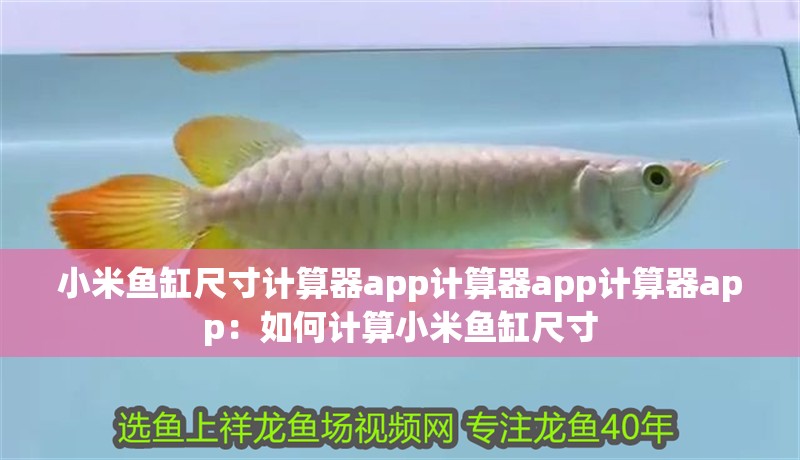 小米魚缸尺寸計算器app計算器app計算器app：如何計算小米魚缸尺寸