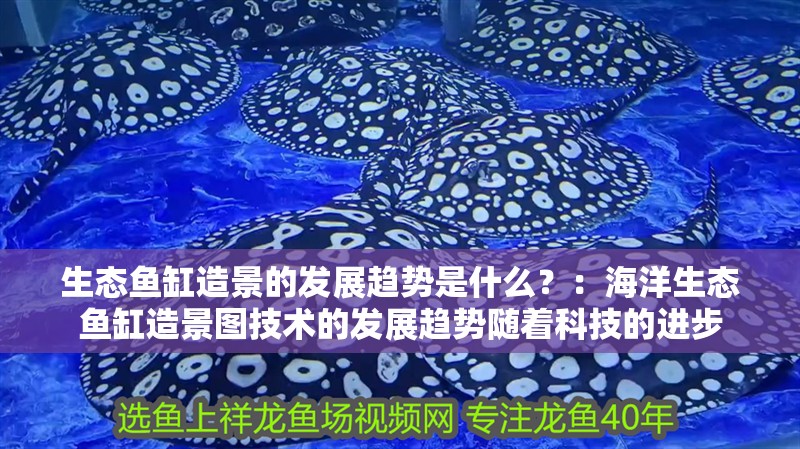 生態魚缸造景的發展趨勢是什么？：海洋生態魚缸造景圖技術的發展趨勢隨著科技的進步