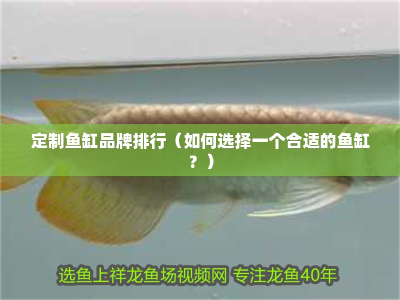 定制魚缸品牌排行（如何選擇一個(gè)合適的魚缸？）