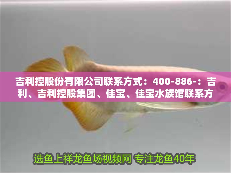 吉利控股份有限公司聯(lián)系方式：400-886-：吉利、吉利控股集團(tuán)、佳寶、佳寶水族館聯(lián)系方式