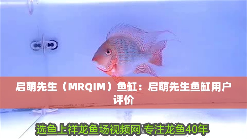 啟萌先生（MRQIM）魚缸：啟萌先生魚缸用戶評價 啟萌先生（MRQIM）魚缸：啟萌先生魚缸用戶評價 魚缸百科