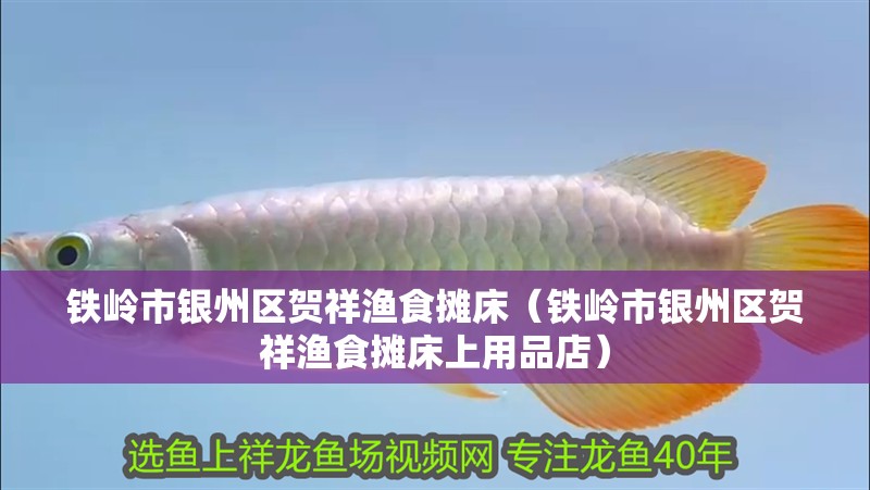 鐵嶺市銀州區賀祥漁食攤床（鐵嶺市銀州區賀祥漁食攤床上用品店）