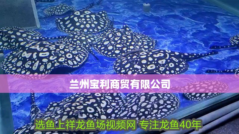 蘭州寶利商貿(mào)有限公司