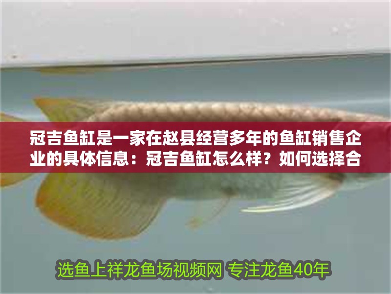 冠吉魚缸是一家在趙縣經(jīng)營多年的魚缸銷售企業(yè)的具體信息：冠吉魚缸怎么樣？如何選擇合適的魚缸？