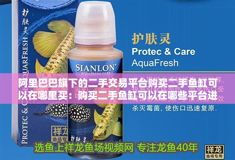 阿里巴巴旗下的二手交易平臺購買二手魚缸可以在哪里買：購買二手魚缸可以在哪些平臺進行