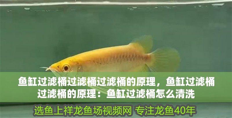 魚缸過(guò)濾桶過(guò)濾桶過(guò)濾桶的原理，魚缸過(guò)濾桶過(guò)濾桶的原理：魚缸過(guò)濾桶怎么清洗