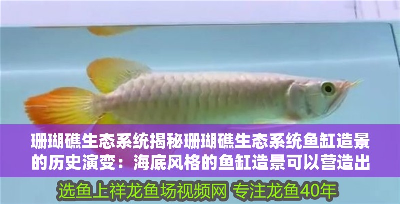 珊瑚礁生態系統揭秘珊瑚礁生態系統魚缸造景的歷史演變：海底風格的魚缸造景可以營造出神秘、美麗的海洋世界