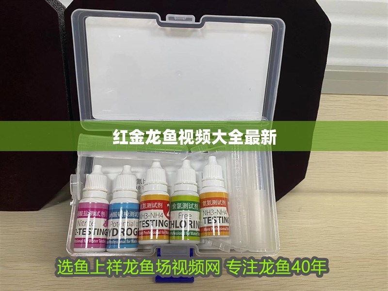 紅金龍魚視頻大全最新