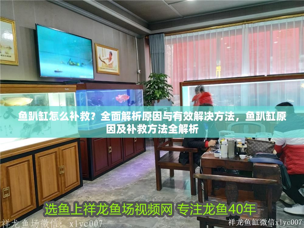 魚趴缸怎么補救？全面解析原因與有效解決方法，魚趴缸原因及補救方法全解析