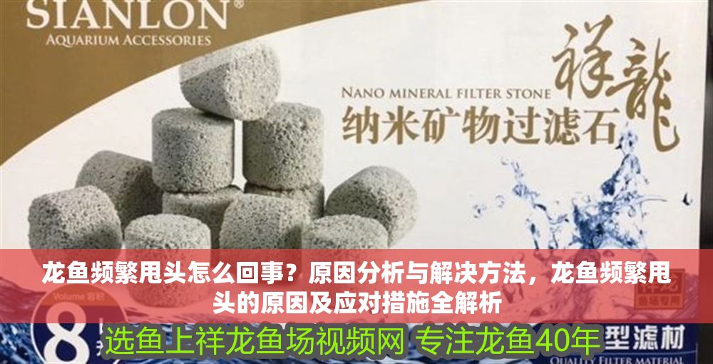 龍魚頻繁甩頭怎么回事？原因分析與解決方法，龍魚頻繁甩頭的原因及應(yīng)對措施全解析