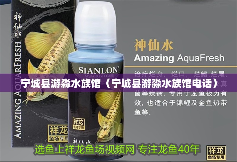 寧城縣游淼水族館（寧城縣游淼水族館電話） 寧城縣游淼水族館（寧城縣游淼水族館電話） 全國水族館企業(yè)名錄