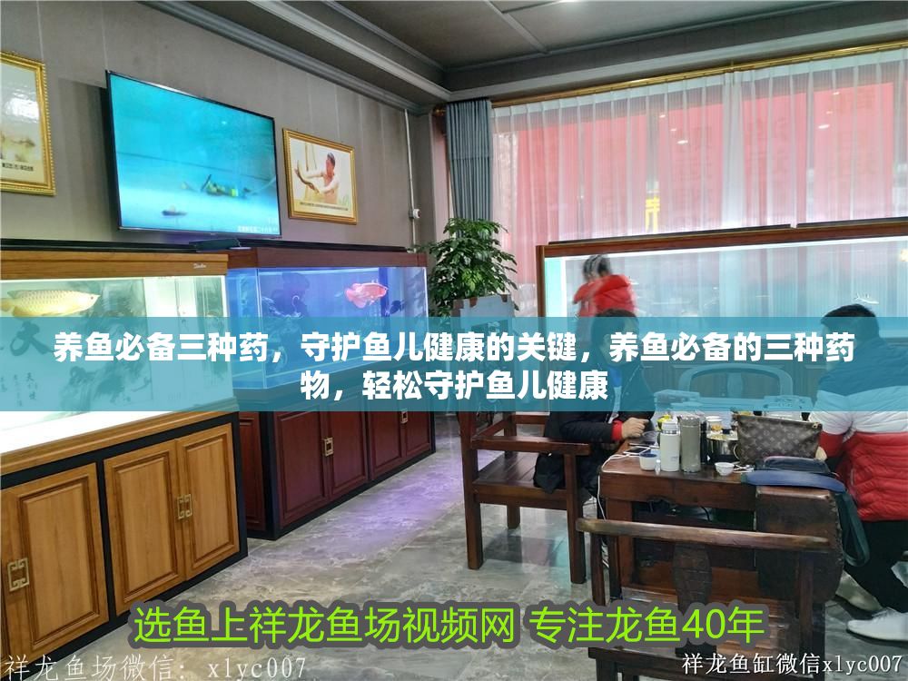 養(yǎng)魚必備三種藥，守護(hù)魚兒健康的關(guān)鍵，養(yǎng)魚必備的三種藥物，輕松守護(hù)魚兒健康
