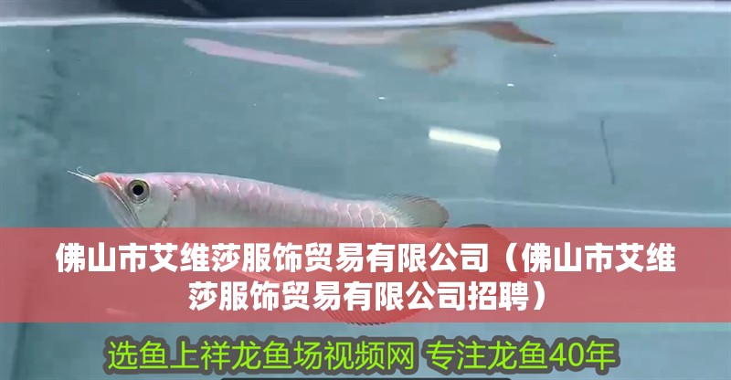 佛山市艾維莎服飾貿易有限公司（佛山市艾維莎服飾貿易有限公司招聘）