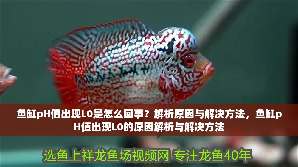 魚缸pH值出現(xiàn)L0是怎么回事？解析原因與解決方法，魚缸pH值出現(xiàn)L0的原因解析與解決方法