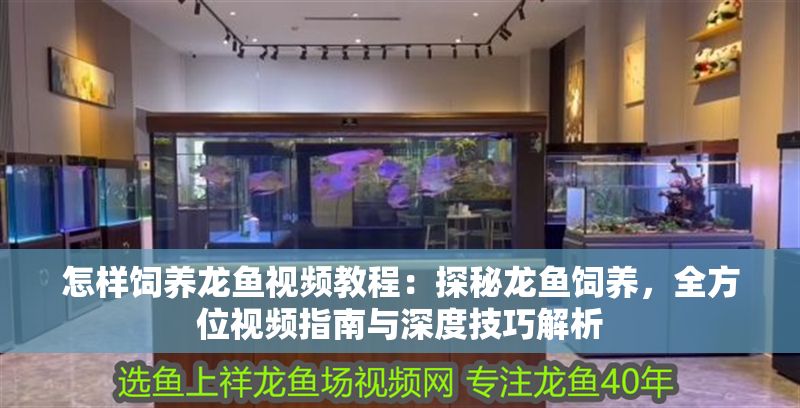 怎樣飼養(yǎng)龍魚視頻教程：探秘龍魚飼養(yǎng)，全方位視頻指南與深度技巧解析 怎樣飼養(yǎng)龍魚視頻教程：探秘龍魚飼養(yǎng)，全方位視頻指南與深度技巧解析 龍魚百科 第1張