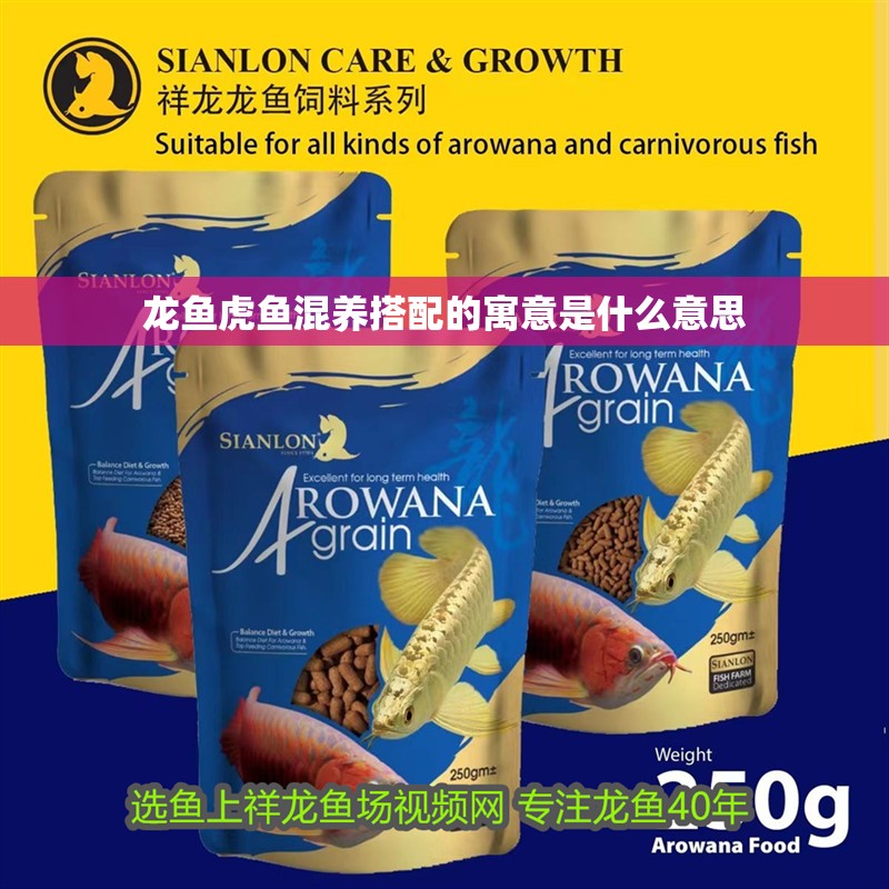 魚缸用增氧泵價格是多少:魚缸增氧機-xtrac增氧機-xtrac增氧機 龍魚虎魚混養搭配的寓意是什么意思 龍魚百科 龍魚虎魚混養搭配的寓意是什么意思 龍魚虎魚混養搭配的寓意是什么意思 龍魚百科