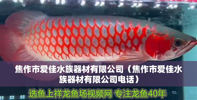 焦作市愛佳水族器材有限公司（焦作市愛佳水族器材有限公司電話）