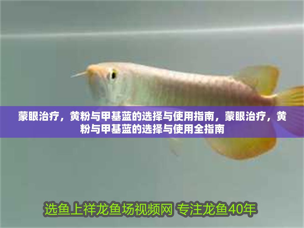蒙眼治療，黃粉與甲基藍(lán)的選擇與使用指南，蒙眼治療，黃粉與甲基藍(lán)的選擇與使用全指南